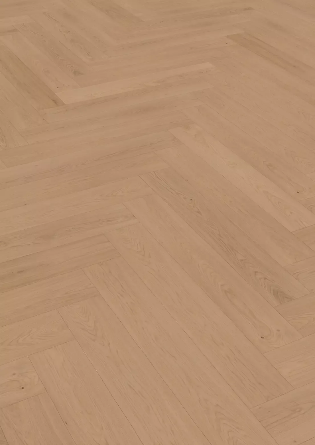 Hywood Stejar Pirin detaliu