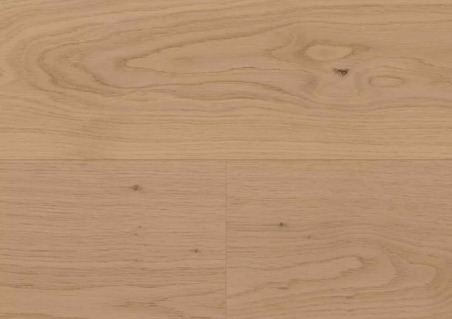 Hywood stejar Pirin detaliu