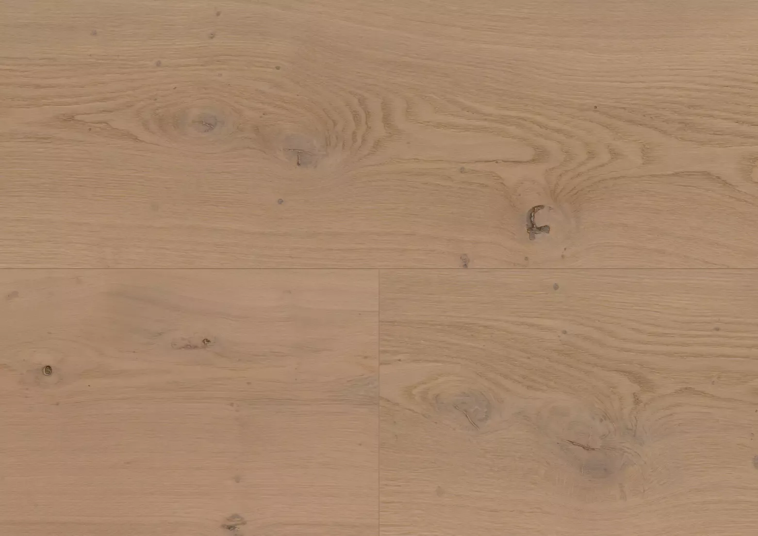 Hywood stejar Nieuw Land detaliu