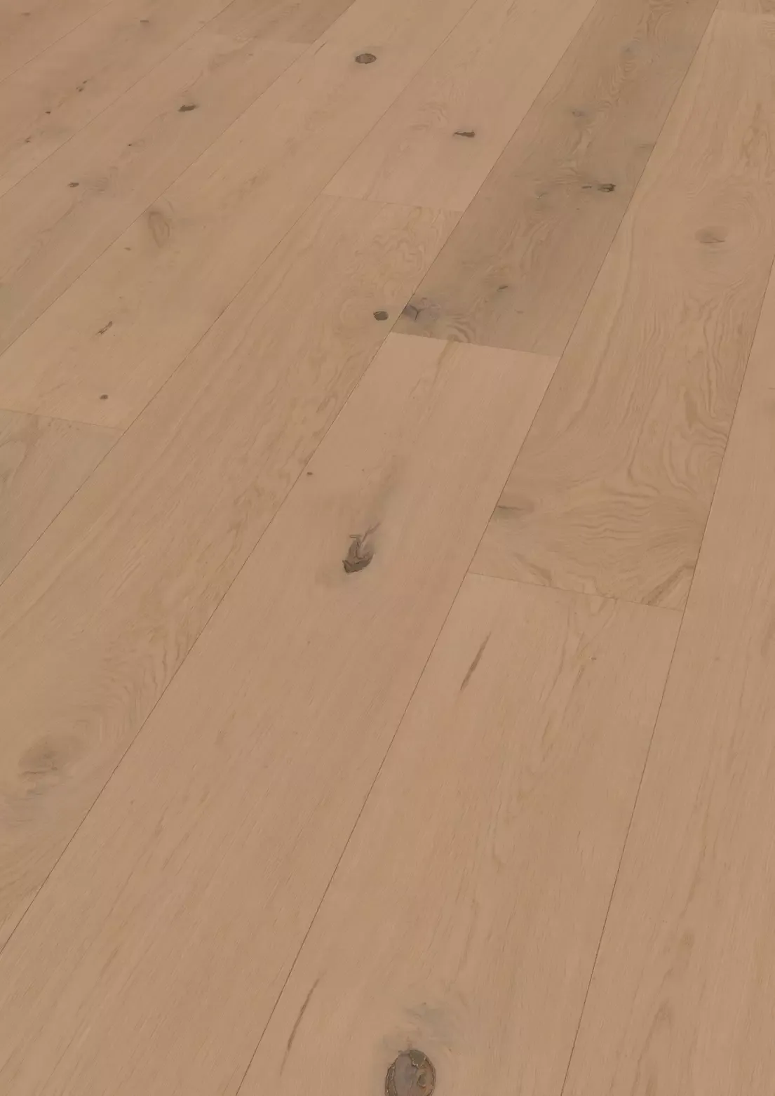 Hywood stejar Nieuw Land detaliu