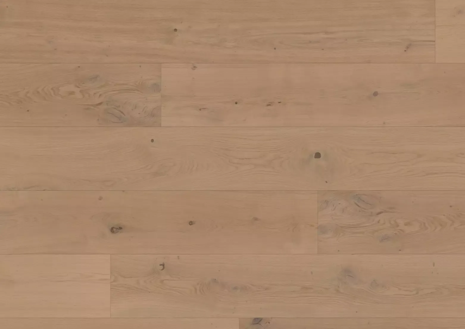 Hywood stejar Nieuw Land detaliu