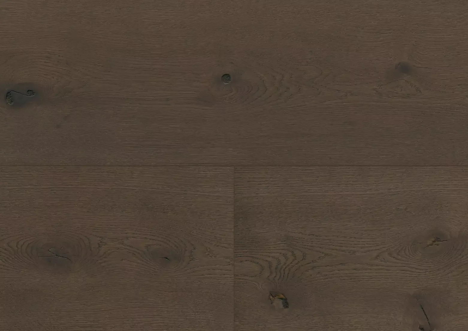 Hywood stejar Sumava detaliu